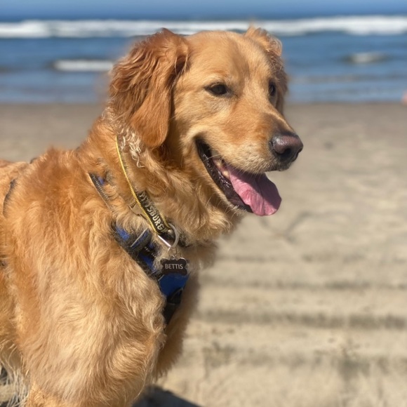 Meet your Posher! - Picture 4 of 6